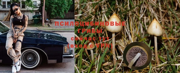 а пвп мука Алексин