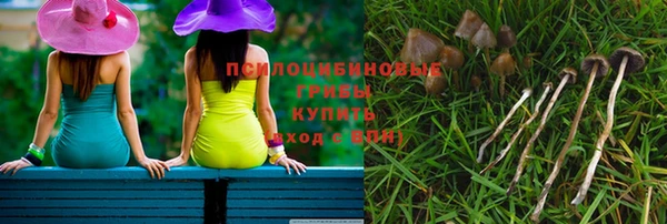 прущие грибы Надым