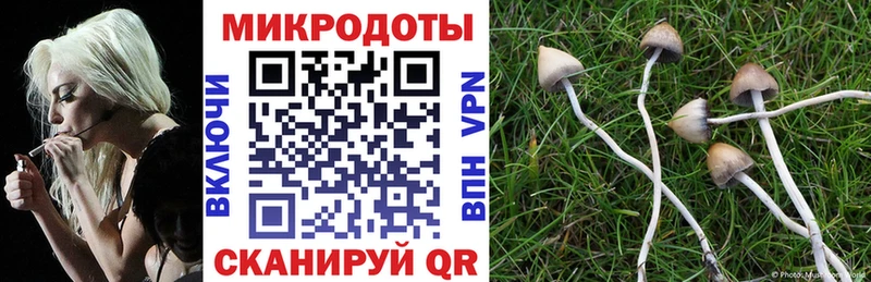 где найти наркотики mega рабочий сайт Галлюциногенные грибы GOLDEN TEACHER Можга